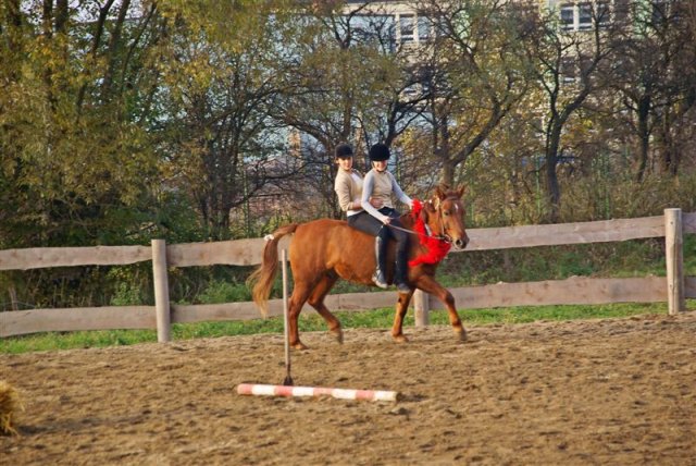 Hubertus 2009